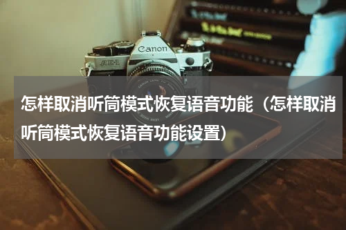 怎样取消听筒模式恢复语音功能（怎样取消听筒模式恢复语音功能设置）