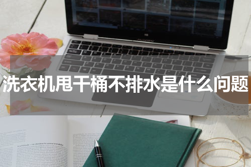 洗衣机甩干桶不排水是什么问题