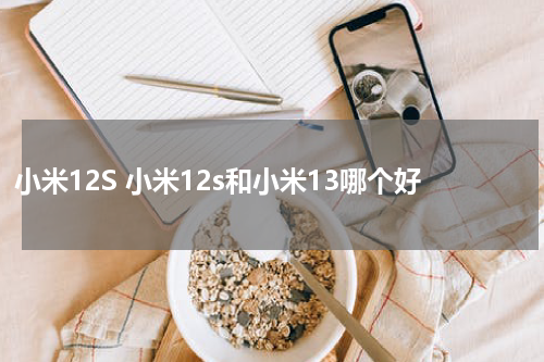 小米12S 小米12s和小米13哪个好