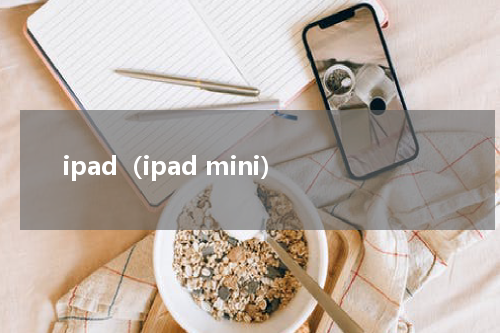 ipad（ipad mini）