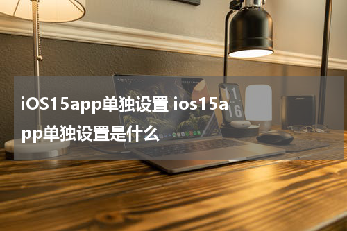 iOS15app单独设置 ios15app单独设置是什么