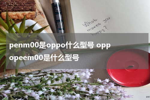 penm00是oppo什么型号 oppopeem00是什么型号