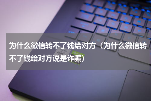 为什么微信转不了钱给对方（为什么微信转不了钱给对方说是诈骗）