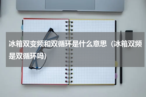 冰箱双变频和双循环是什么意思（冰箱双频是双循环吗）