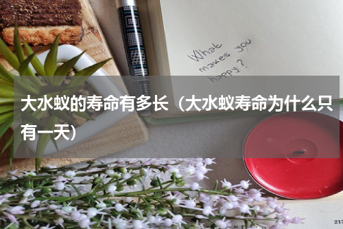大水蚁的寿命有多长（大水蚁寿命为什么只有一天）