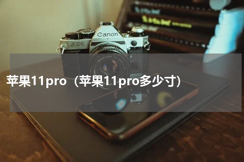 苹果11pro（苹果11pro多少寸）