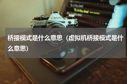 桥接模式是什么意思（虚拟机桥接模式是什么意思）
