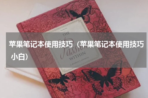 苹果笔记本使用技巧（苹果笔记本使用技巧 小白）