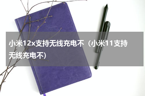 小米12x支持无线充电不（小米11支持无线充电不）