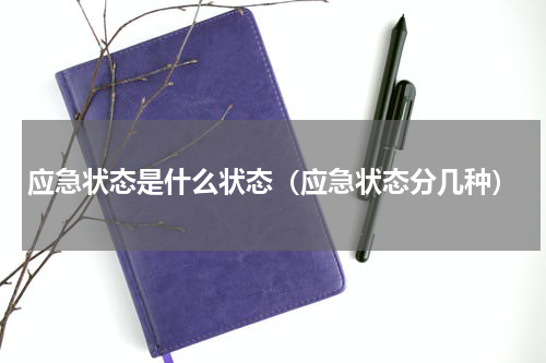 应急状态是什么状态（应急状态分几种）