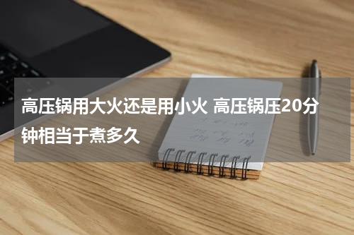 高压锅用大火还是用小火 高压锅压20分钟相当于煮多久