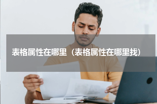 表格属性在哪里（表格属性在哪里找）