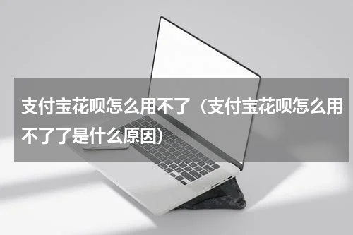 支付宝花呗怎么用不了（支付宝花呗怎么用不了了是什么原因）