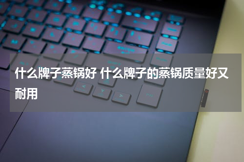 什么牌子蒸锅好 什么牌子的蒸锅质量好又耐用