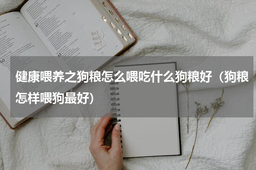 健康喂养之狗粮怎么喂吃什么狗粮好（狗粮怎样喂狗最好）