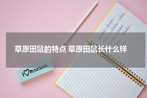 草原田鼠的特点 草原田鼠长什么样