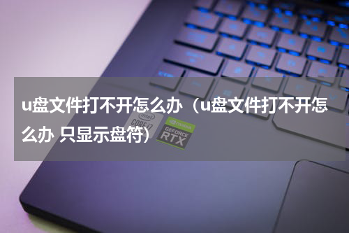 u盘文件打不开怎么办（u盘文件打不开怎么办 只显示盘符）