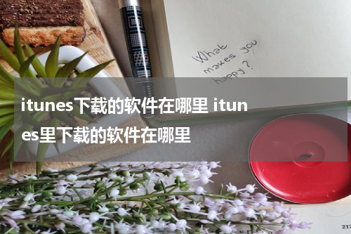 itunes下载的软件在哪里 itunes里下载的软件在哪里