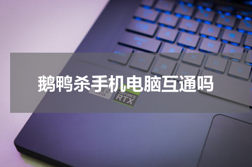 鹅鸭杀手机电脑互通吗