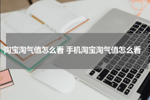 淘宝淘气值怎么看 手机淘宝淘气值怎么看