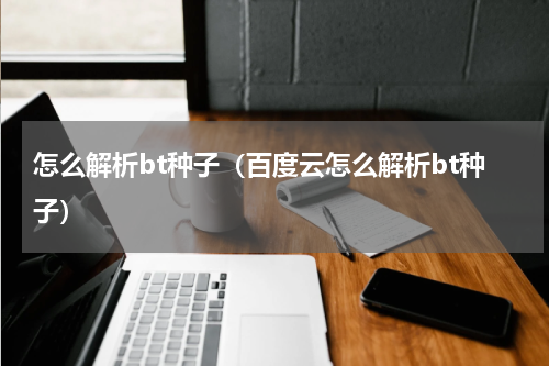 怎么解析bt种子（百度云怎么解析bt种子）