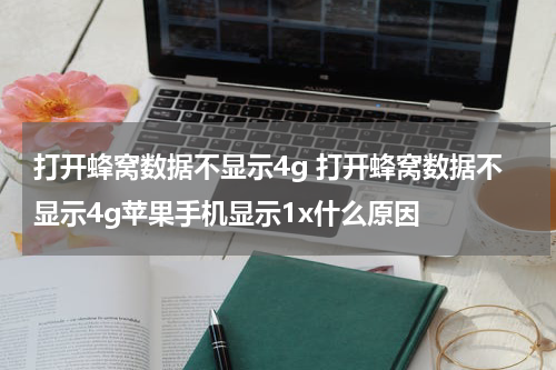 打开蜂窝数据不显示4g 打开蜂窝数据不显示4g苹果手机显示1x什么原因