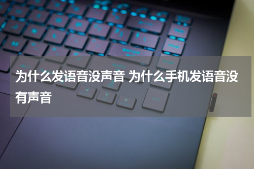 为什么发语音没声音 为什么手机发语音没有声音