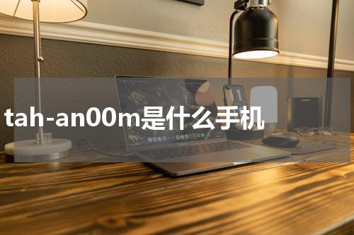 tah-an00m是什么手机