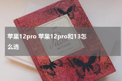 苹果12pro 苹果12pro和13怎么选
