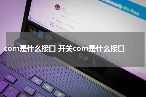 com是什么接口 开关com是什么接口