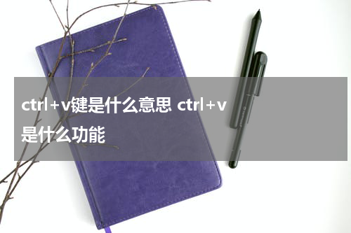 ctrl+v键是什么意思 ctrl+v是什么功能