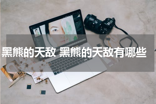 黑熊的天敌 黑熊的天敌有哪些