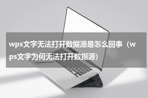 wps文字无法打开数据源是怎么回事（wps文字为何无法打开数据源）