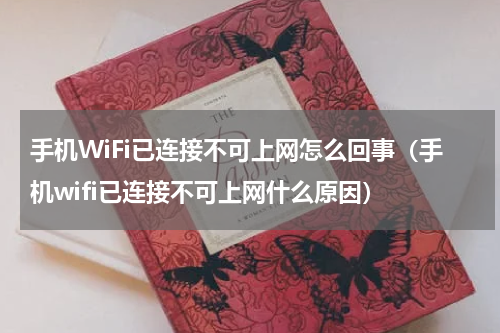 手机WiFi已连接不可上网怎么回事（手机wifi已连接不可上网什么原因）