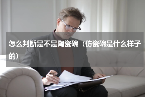 怎么判断是不是陶瓷碗（仿瓷碗是什么样子的）