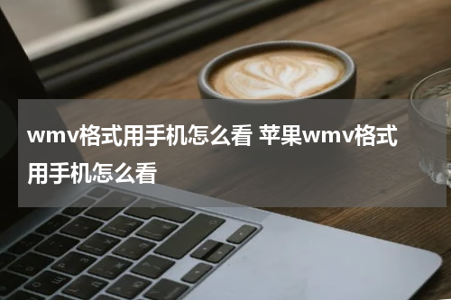 wmv格式用手机怎么看 苹果wmv格式用手机怎么看