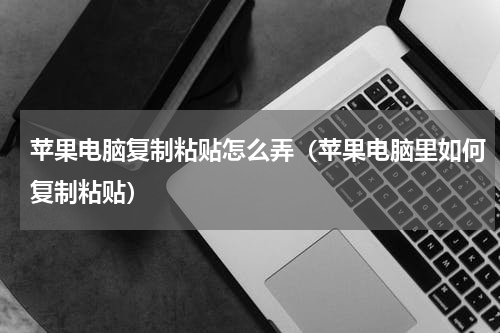 苹果电脑复制粘贴怎么弄（苹果电脑里如何复制粘贴）