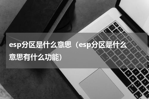 esp分区是什么意思（esp分区是什么意思有什么功能）
