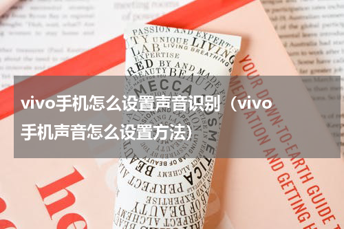 vivo手机怎么设置声音识别（vivo手机声音怎么设置方法）