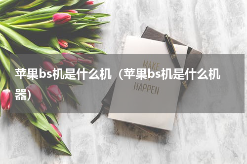 苹果bs机是什么机（苹果bs机是什么机器）
