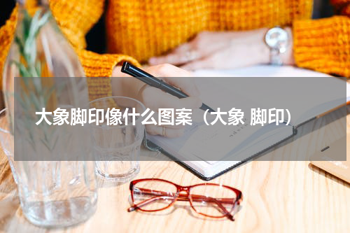 大象脚印像什么图案（大象 脚印）