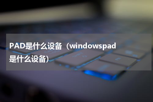 PAD是什么设备（windowspad是什么设备）