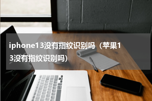 iphone13没有指纹识别吗（苹果13没有指纹识别吗）