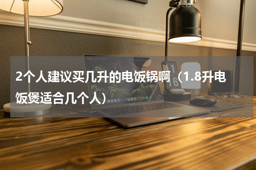 2个人建议买几升的电饭锅啊（1.8升电饭煲适合几个人）