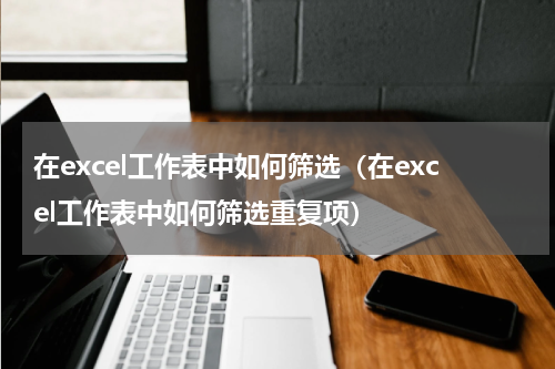 在excel工作表中如何筛选（在excel工作表中如何筛选重复项）