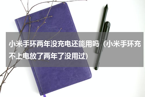 小米手环两年没充电还能用吗（小米手环充不上电放了两年了没用过）