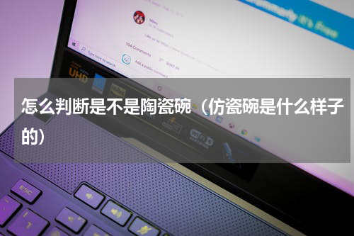 怎么判断是不是陶瓷碗（仿瓷碗是什么样子的）