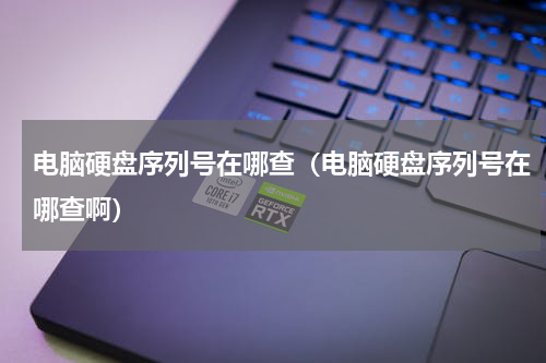 电脑硬盘序列号在哪查（电脑硬盘序列号在哪查啊）