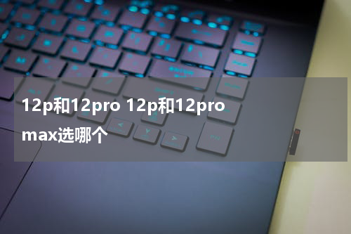 12p和12pro 12p和12promax选哪个