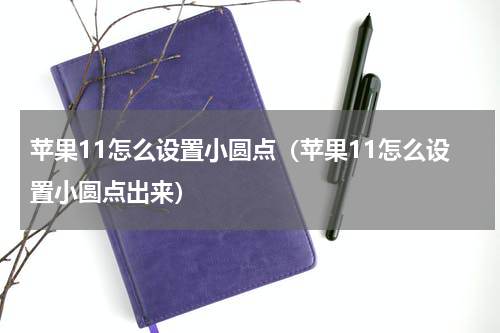 苹果11怎么设置小圆点（苹果11怎么设置小圆点出来）